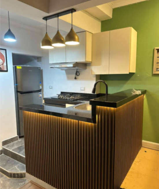 Ultra Super Lux Furnished Apartment for Rent
