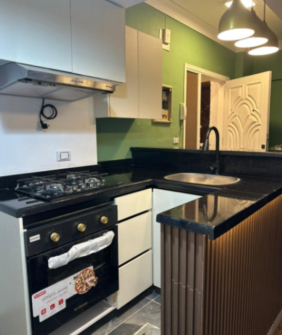 Ultra Super Lux Furnished Apartment for Rent
